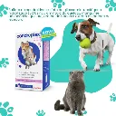 Condroplex 1000 Mg 60 Cápsulas-2.webp