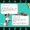 Condroplex 1000 Mg 60 Cápsulas-4.webp