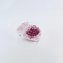 Kit Fan Nails 12 cores-2.webp