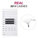 Fadvan-2 6DW.webp.webp