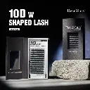 Cílios Decemars 10D W 0.07 Shaped Tray Mix 8-15-3.webp