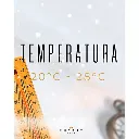 Cola Cherry One-6.webp