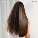 Progressiva Fashion Gold-9.webp