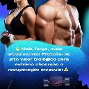 Suplemento Proteína 100% Whey Protein-2.webp