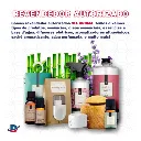 2 Essencias + Aromatizador Difusor Eletrico Via Aroma-2.webp